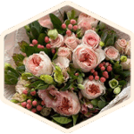 2afa9eed6e1313fa98ec5b80fb1825dd